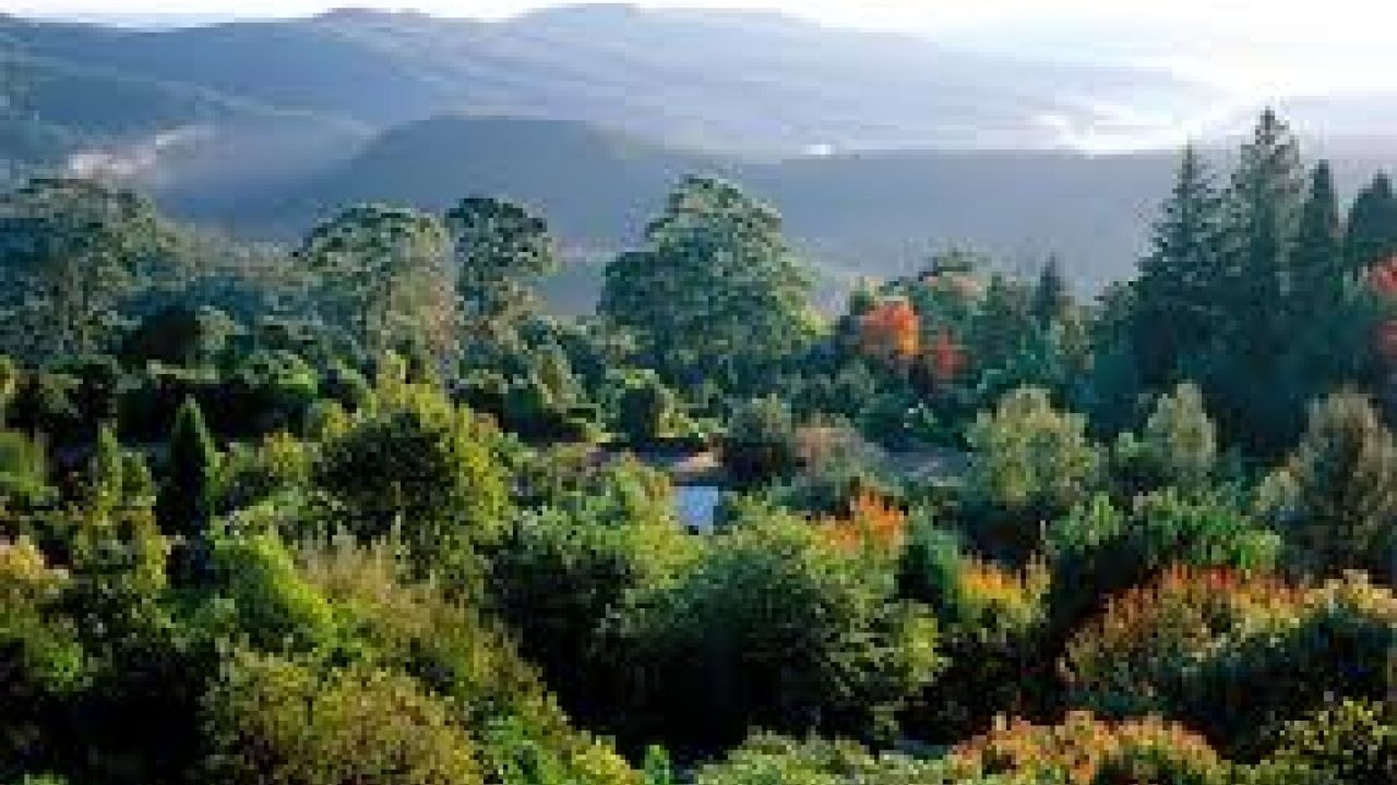 Blue Mountain, Australia
